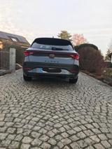 Cupra Leon 1.5 eTSI, 8-fach bereift, Garantie 2028 - Cupra Leon von privat
