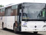 Mercedes-Benz O 510 Intouro / Integro O 550 Klima  59+1 - Mercedes-Benz 510