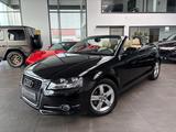 Audi A3 Cabriolet 1.8 TFSI * Ambition * & Leder Beige - Audi A3: Cabrio, Ambition