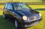 Volkswagen Lupo 1.4 44kW Trendline Trendline - Volkswagen Lupo: Schwarz