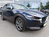 Mazda CX-30*scheckheftgepflegt aus Damenhand*sehr viel - Mazda CX-30 mit Anhängerkupplung