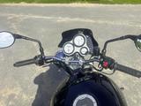Triumph Speed Triple 955i Daytona T509 595 - Offers