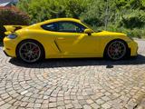 Porsche Cayman GT4 PDK/Clubsport/Approved/Bose/PVTS - Porsche Cayman aus 2022