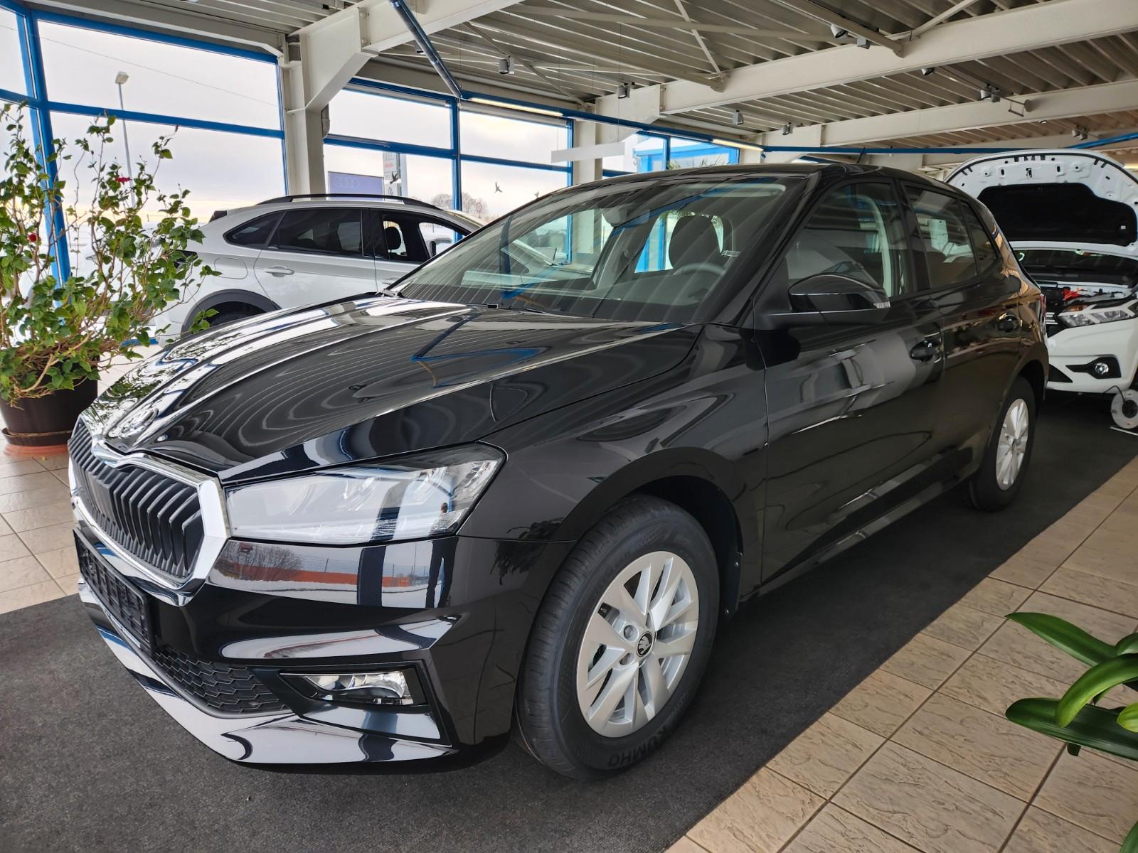 Skoda Fabia Selection DSG/APP/Kamera/5 Jahre Garantie