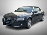 Audi A5 Cabriolet 1.8 TFSI S Line PDC Alcantara - Audi A5 aus 2011: Line
