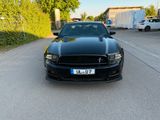 Ford Mustang 5.0 GT California Special V8 *Schalter* - Ford Mustang: Special