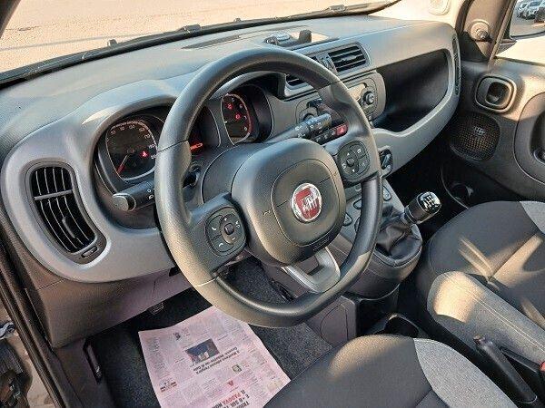 Fiat FIAT PANDA HYBRID 1.0 FireFly 70 CV S&S CITY LIF