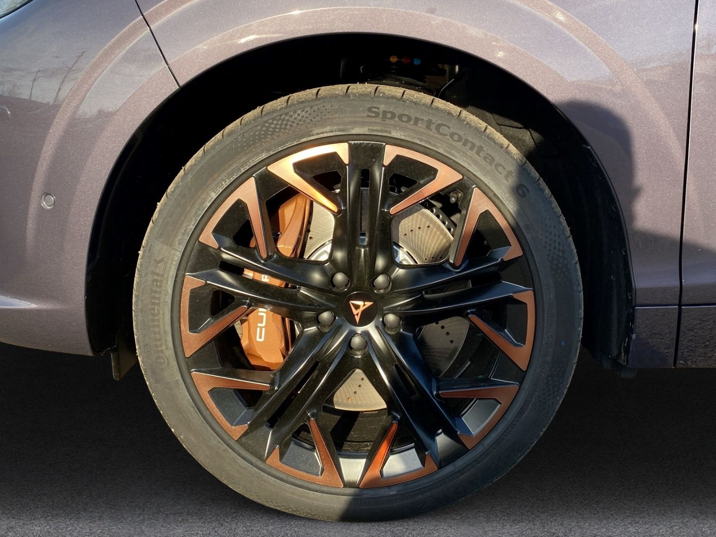 Fahrzeugabbildung CUPRA Terramar 195 kW 4Drive VZ*HUD*AHK*PANNO*Standhz*