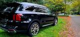 Kia Sorento 2.2 CRDi AWD Platinum DCT8 Platinum - Kia Sorento Gebrauchtwagen in Düsseldorf