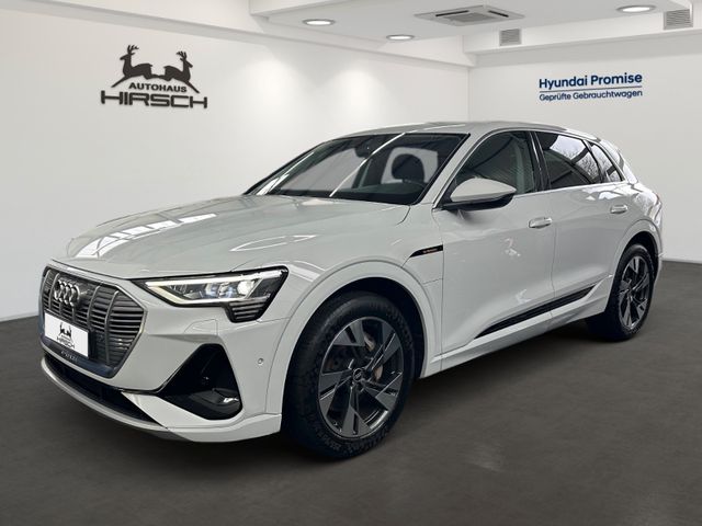 Audi e-tron 50 quattro S line NAVI DSP LUFT AHK