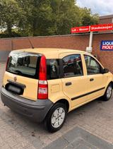 Fiat - Panda - Fiat Panda Gebrauchtwagen in Münster