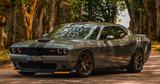 Dodge Challenger SRT 6.4l HEMI *VOLLAUSSTATTUNG - Dodge Challenger: Srt
