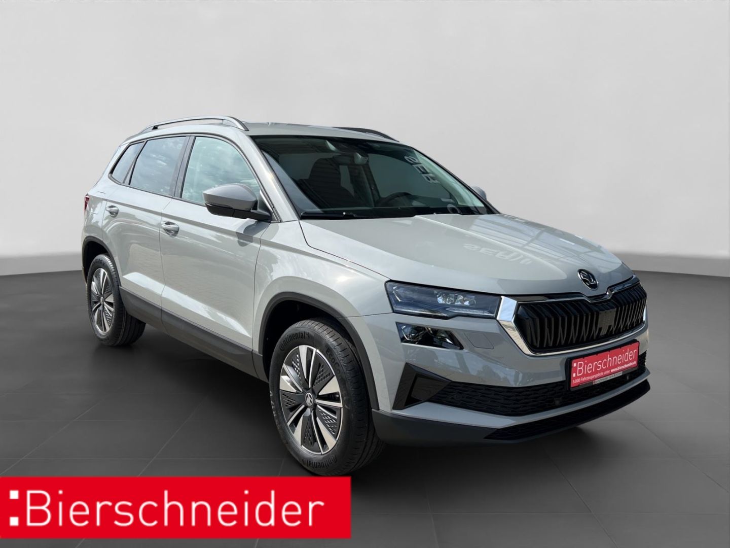 Skoda Karoq - Bild 9