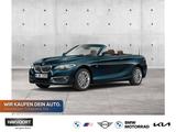 BMW 220i Luxury Line ""Leder Klima PDC 17"LM" - gebrauchte BMW Roadster