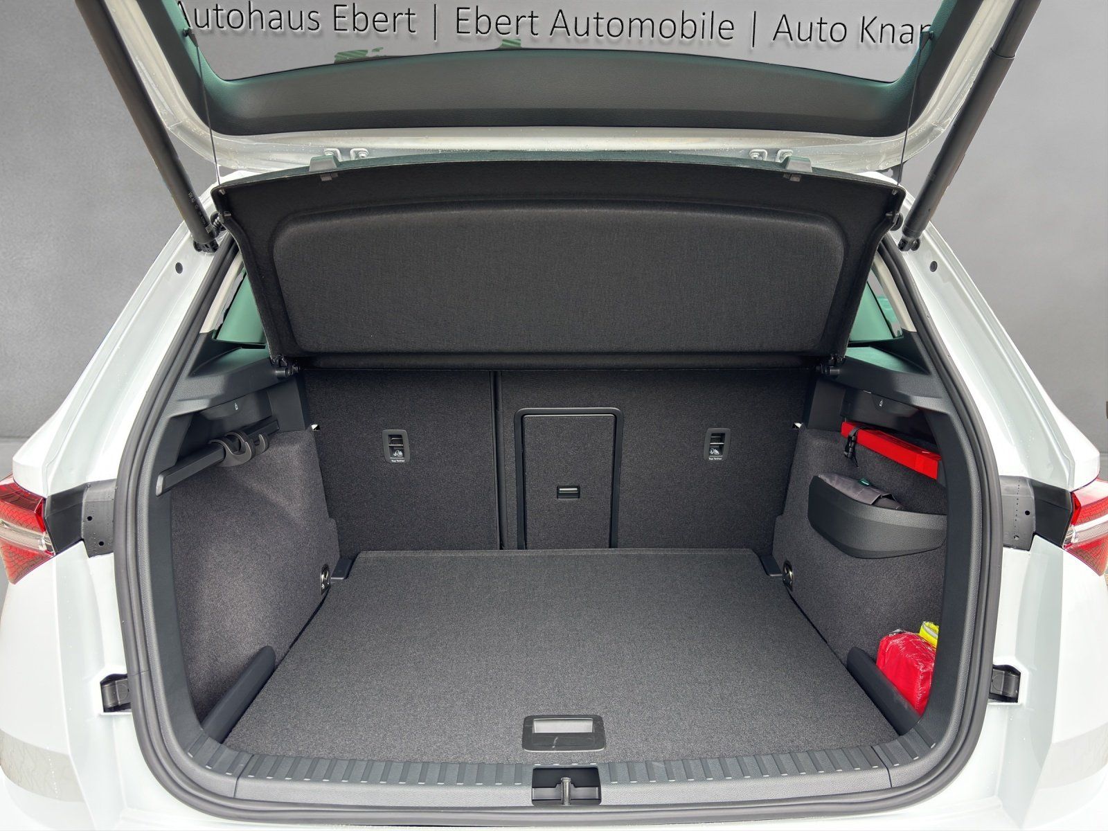 Fahrzeugabbildung SKODA Karoq Balance 1,5 TSI 110 kW DSG MATRIX/RFK/AHK