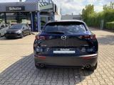 Mazda CX-30 1.8 D Selection Design-Paket Matrix-LED Se - Mazda Gebrauchtwagen in Erfurt