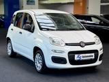 Fiat Panda Easy *KLIMA* - gebrauchte Fiat Panda aus dem Jahr 2018