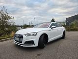 Audi A5 252PS TFSI S tronic/Line 4×4,Navi,Temp,Pano - Audi A5: Weiß