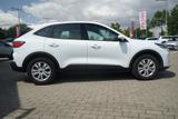 Ford Kuga 2.0 M-Hybrid LED Navi Android Apple SYNC - Ford Kuga: Weiß
