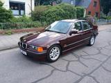 BMW E36 323i UK BJ1998 Friedrich Motorspor... - BMW 323: 323i E36