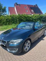 BMW 220i Cabrio - - BMW 220 mit Benzin-Antrieb: Cabrio