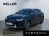 Lexus UX 250h Executive Line *Bi-LED*HUD*Navi*ACC*SHZ* - Lexus in Leipzig