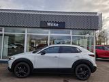 Mazda CX-30 Homura 2.0 SKY-X M Hybr.186PS FWD AT - Mazda Gebrauchtwagen in Magdeburg