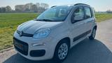Fiat Panda 0.9 / Klima / - Fiat Panda in Mönchengladbach