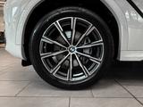 BMW X6 xDrive30d M Sport PANO Adapt.LED Travel Pak - BMW X6: Weiß, Leder