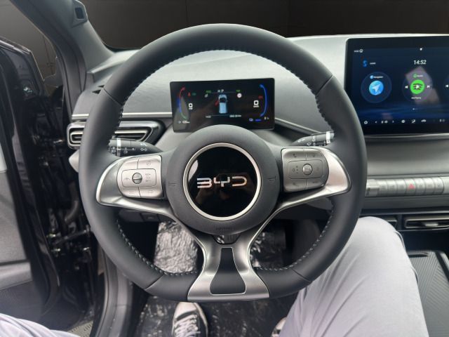 BYD DOLPHIN SURF