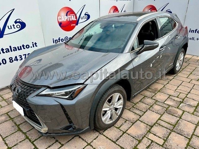 Lexus UX 250 Hybrid Business ECVT NETTO 10900 MO