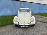 Volkswagen Käfer - VW Käfer mit Schiebedach