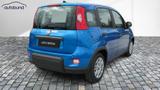 Fiat Panda 1,0  Hybrid (MHEV) Pandina Base NBA PDC  - Fiat Panda: Pandina
