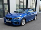 BMW 218i Cabrio M Sportpaket - 1. Hand - 8 Reifen - BMW: Cabrio, 8