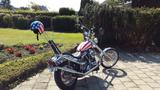Harley-Davidson Softail - HARLEY-DAVIDSON 1995