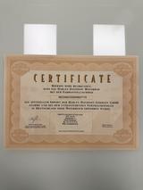 Harley-Davidson Sportster XL 1200 Iron - HARLEY-DAVIDSON SPORTSTER IRON