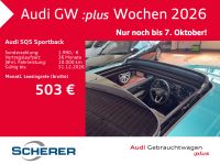 Audi SQ5 - Vorschau Bild 18