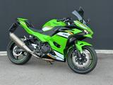 Kawasaki Ninja 500 SE Performance + Heckumbau + RIZOMA - KAWASAKI 500