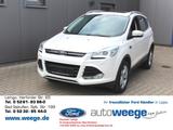 Ford Kuga Titanium 1,6 EcoBoost - Ford Kuga: Weiß