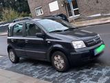 Fiat Panda - Fiat Panda Gebrauchtwagen in Aachen