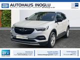 Opel Grandland X 1.2 NAVI AGR KAMERA LED KLIMAUT.  - Opel Grandland (X) in Mainz