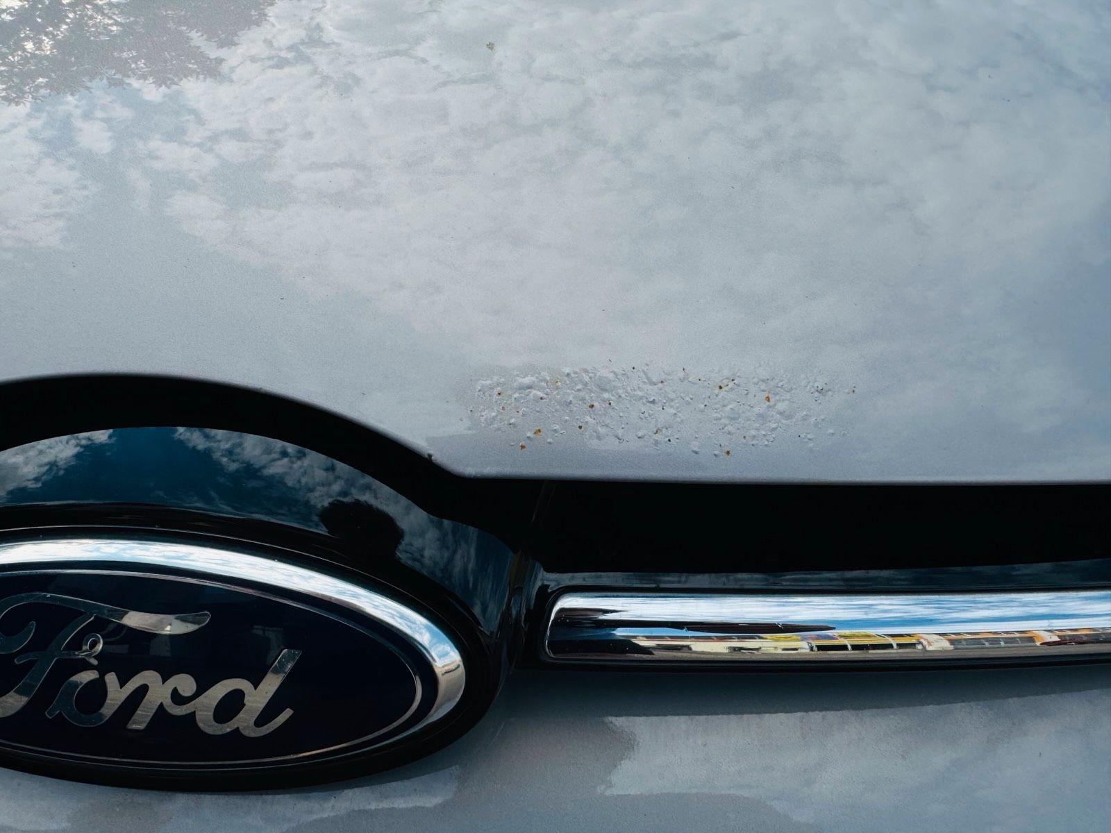 Ford Focus 2012 — фото 5