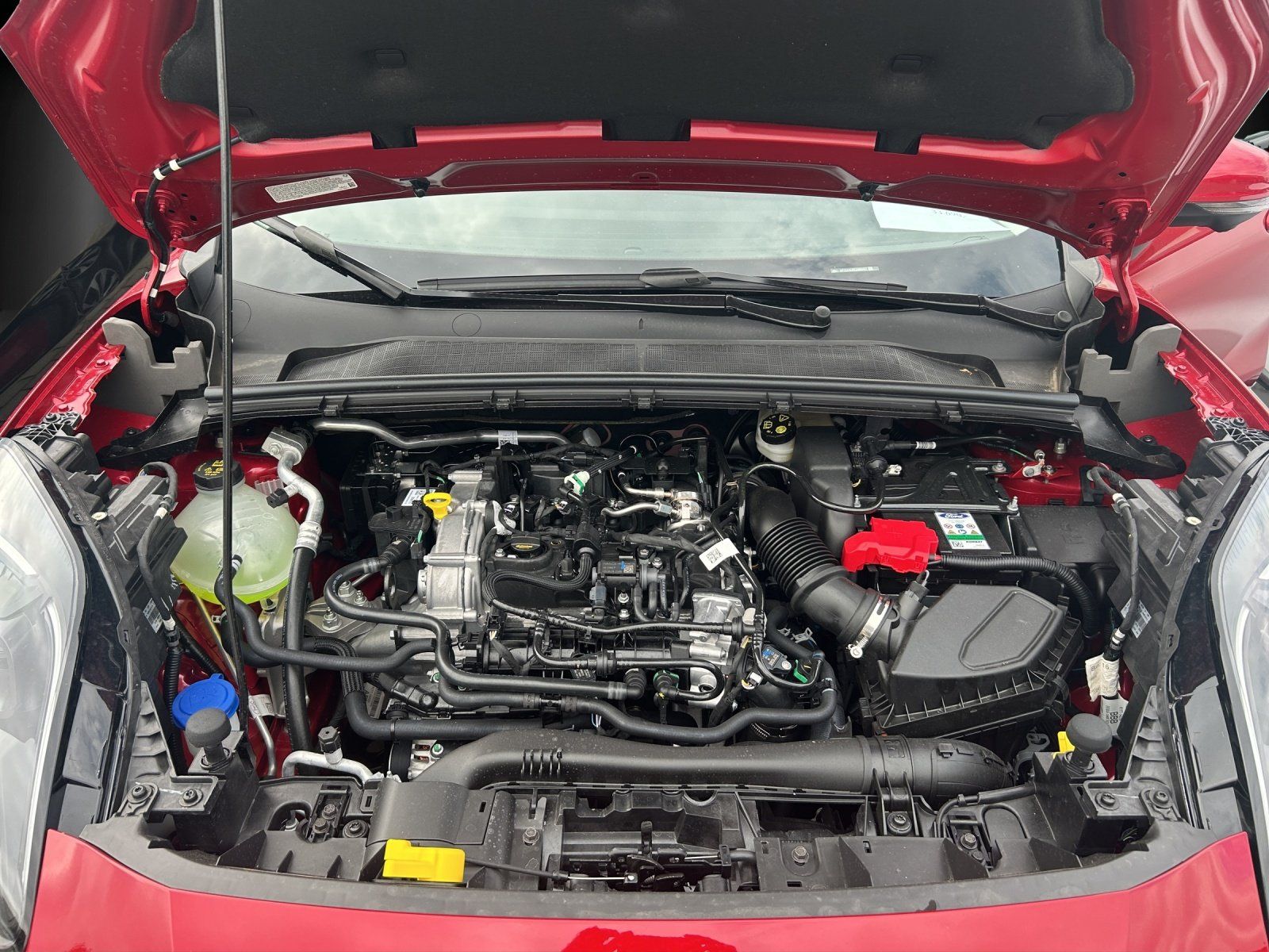 Fahrzeugabbildung Ford Puma 1,0 Titanium MHEV