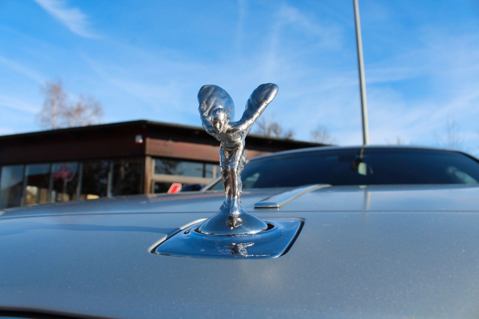 Ghost Family 6,6 Lit., V12