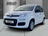 Fiat Panda Gewerbeleasing Klimaanlage Parkpilot ZV - Fiat Panda Neuwagen