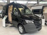 Frankia Yucon 6.0 BD 