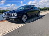 Jaguar SEHR gepflegter JAGUAR XJ8 - Jaguar XJ8 von privat