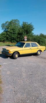 Mercedes-Benz 240D W123 Bj 1983 - Mercedes-Benz 240: W123