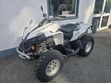 Can-Am Renegade Renegade 500 - CAN-AM RENEGADE
