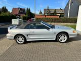 Ford Mustang GT 4,6 l Convertible - Ford Mustang in Leverkusen
